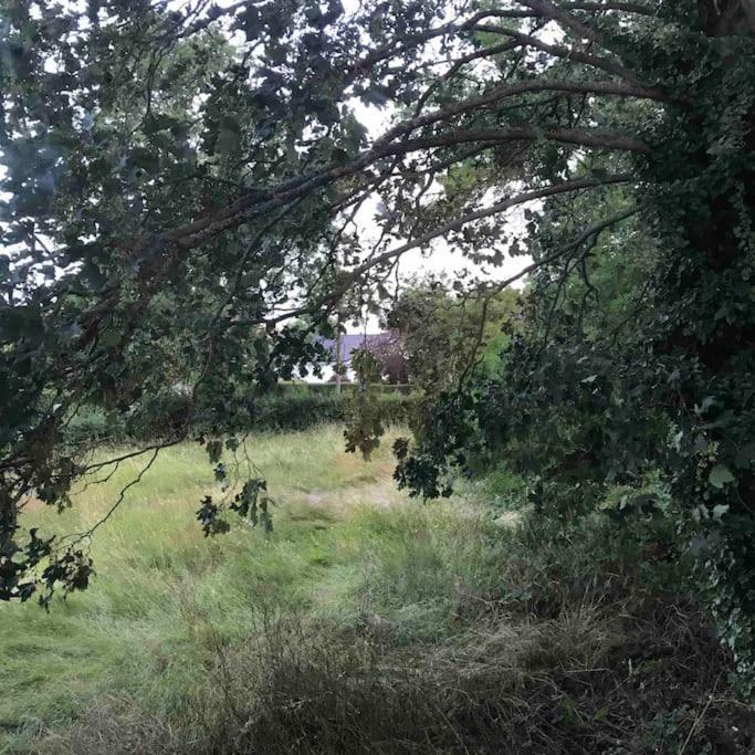 Priory Meadow Cottage Long Bennington エクステリア 写真