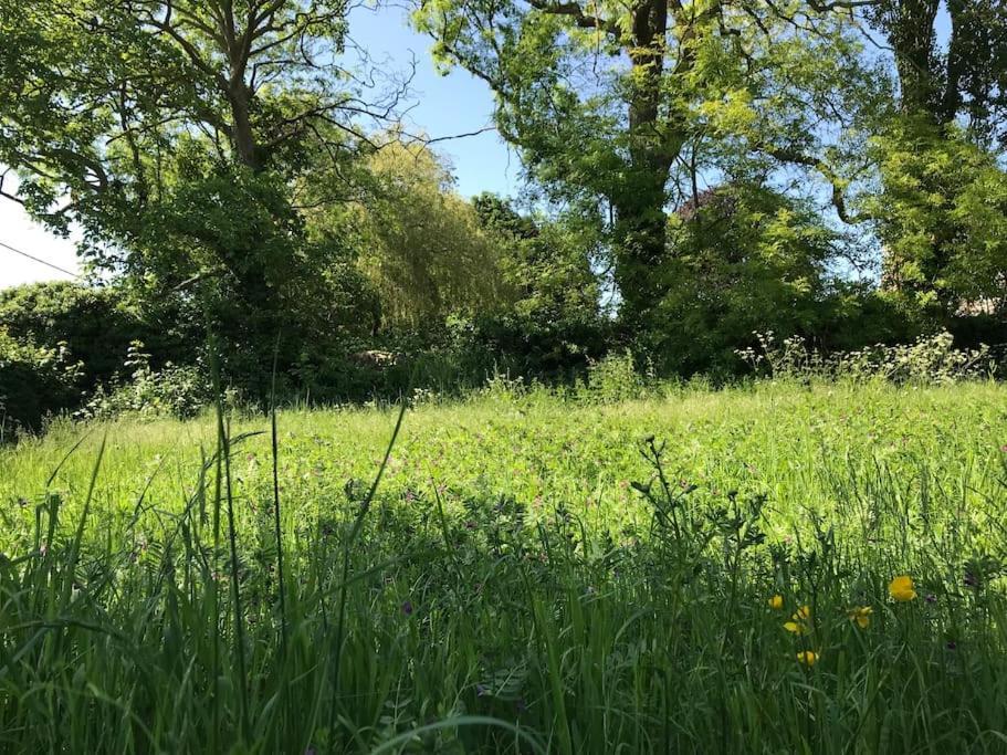 Priory Meadow Cottage Long Bennington エクステリア 写真