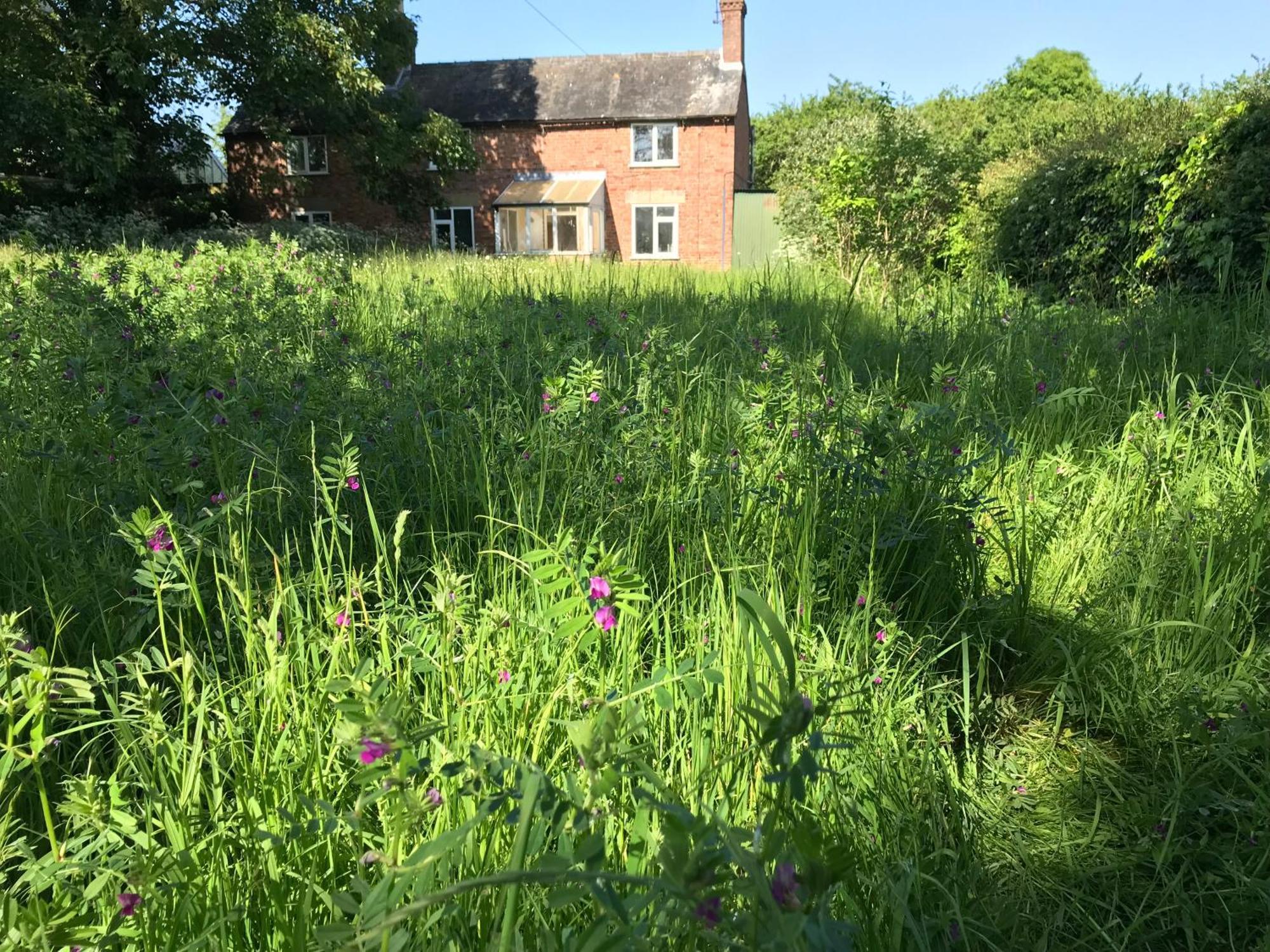 Priory Meadow Cottage Long Bennington エクステリア 写真